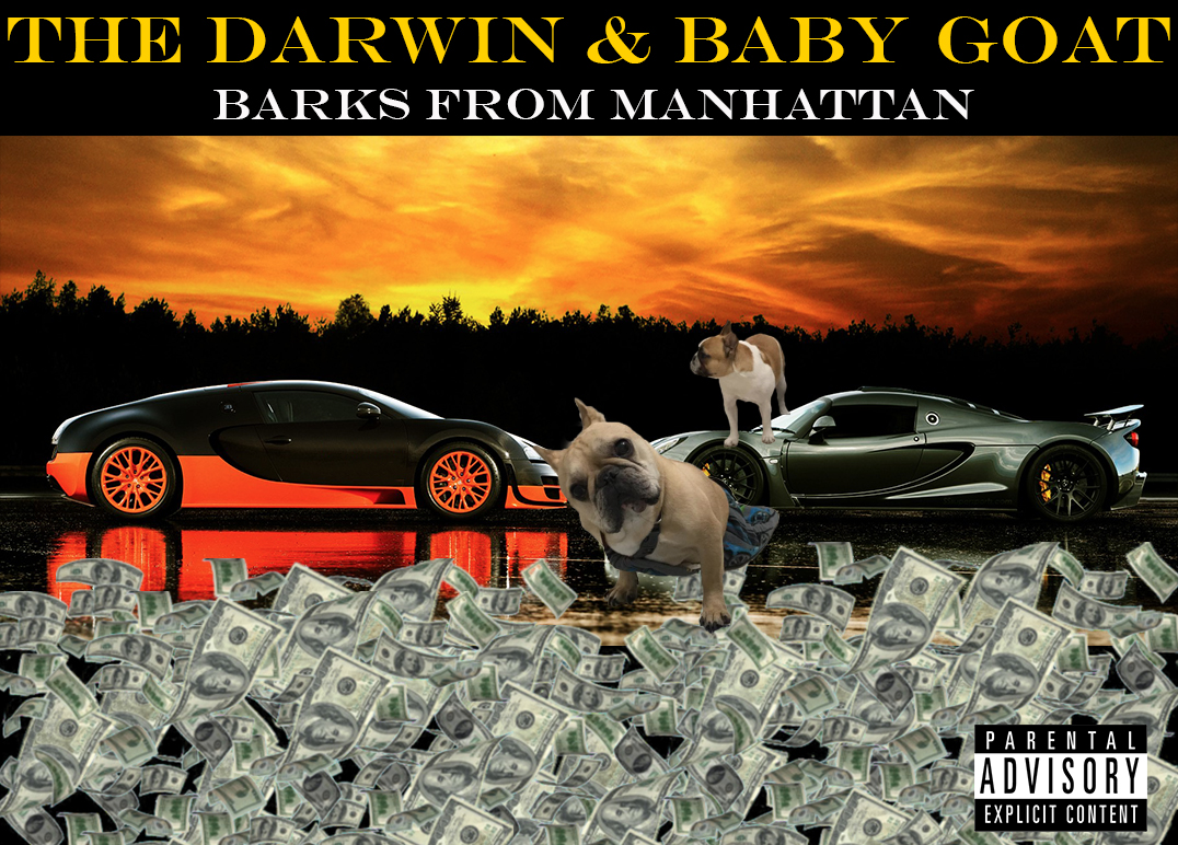 Barks from Manhattan Mixtape Cover
