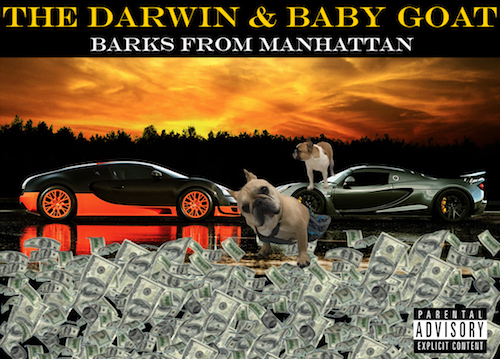 Album Cover Art